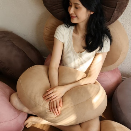 Elevate Your Home Decor with Unique Custom Throw Pillows(图2)