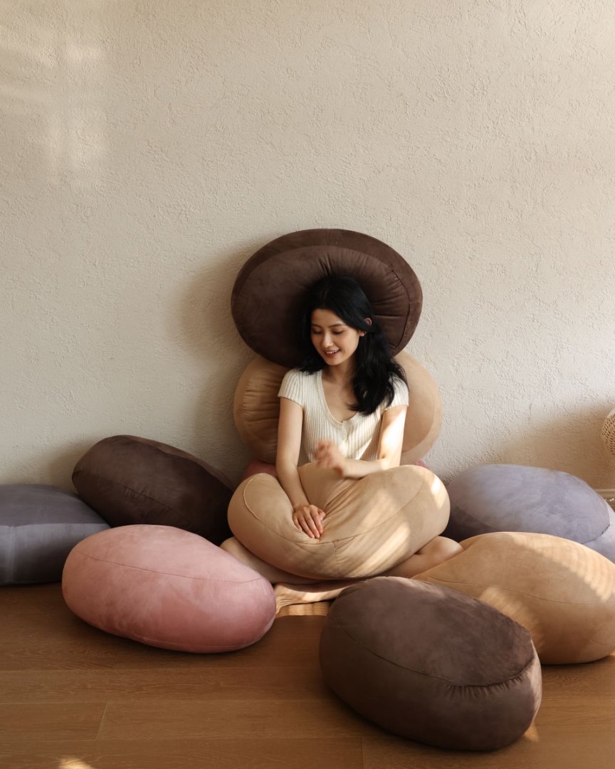 Cozy Marais Ultra-Soft Throw Pillow for Autumn & Winter(图3)