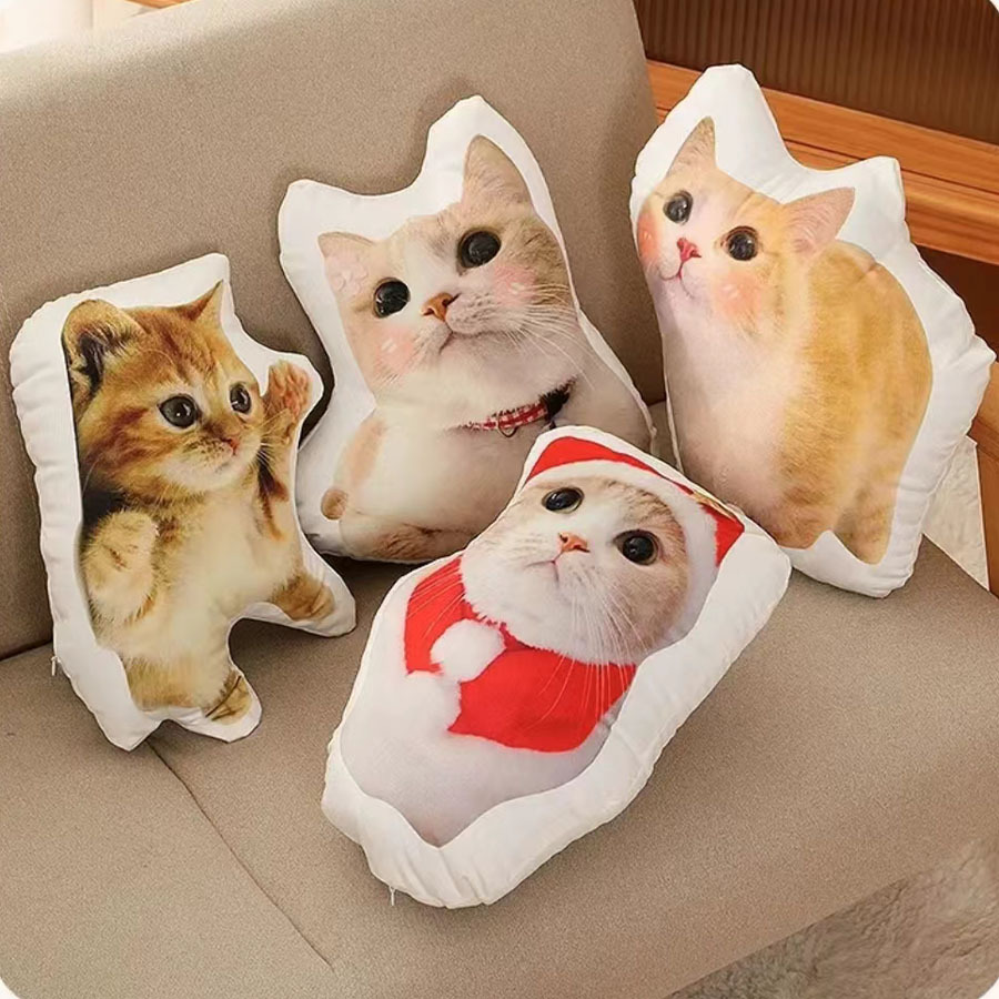 Why Are Ugly Cat Pillow Custom Orders So Popular? The Viral Trend Explained(图1)