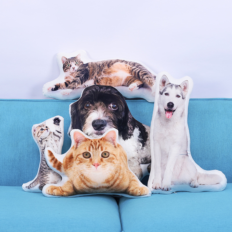 Why Are Ugly Cat Pillow Custom Orders So Popular? The Viral Trend Explained